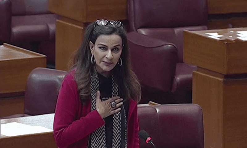 PPP wants timely elections in country: Sherry Rehman