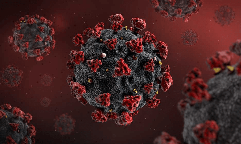 پاکستان میں کورونا مثبت کیسز کی شرح 1.20فیصد  تک پہنچ گئی