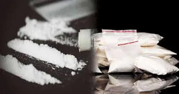 ANF recovers 32 kg drugs, arrest seven