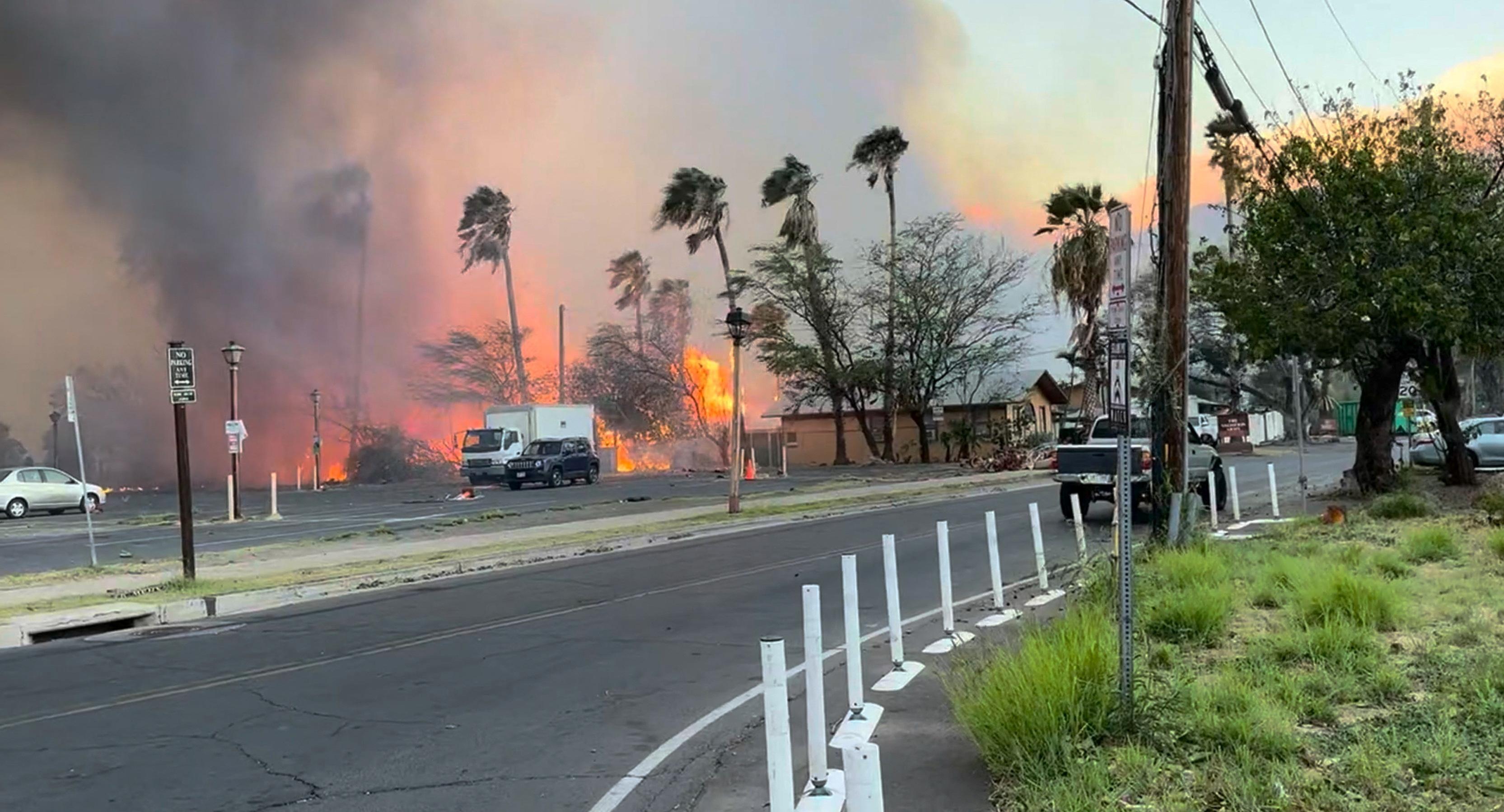 At least 36 dead in Hawaii wildfires, tourists evacuated