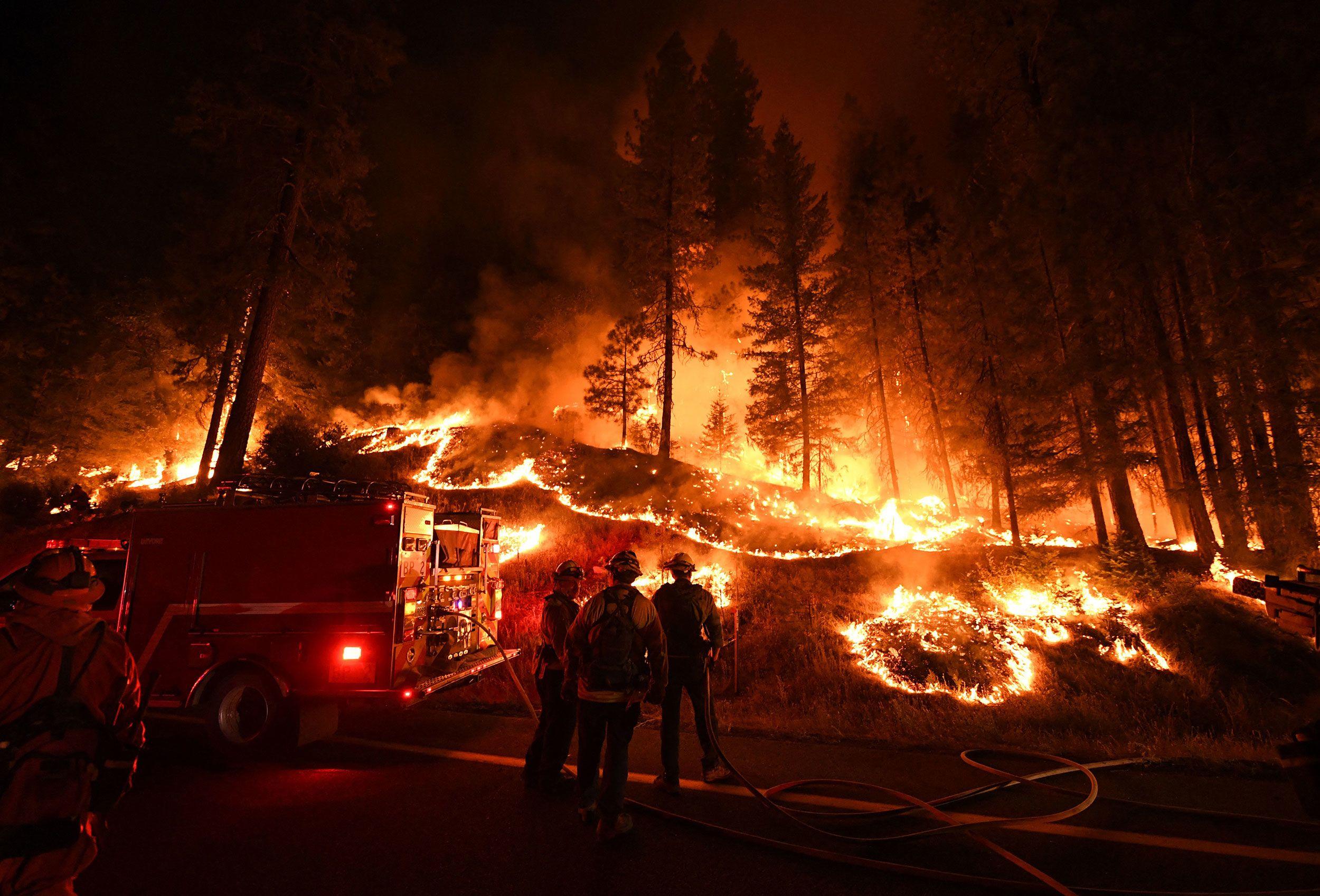 Forest fire claims 53 lives in Hawaii