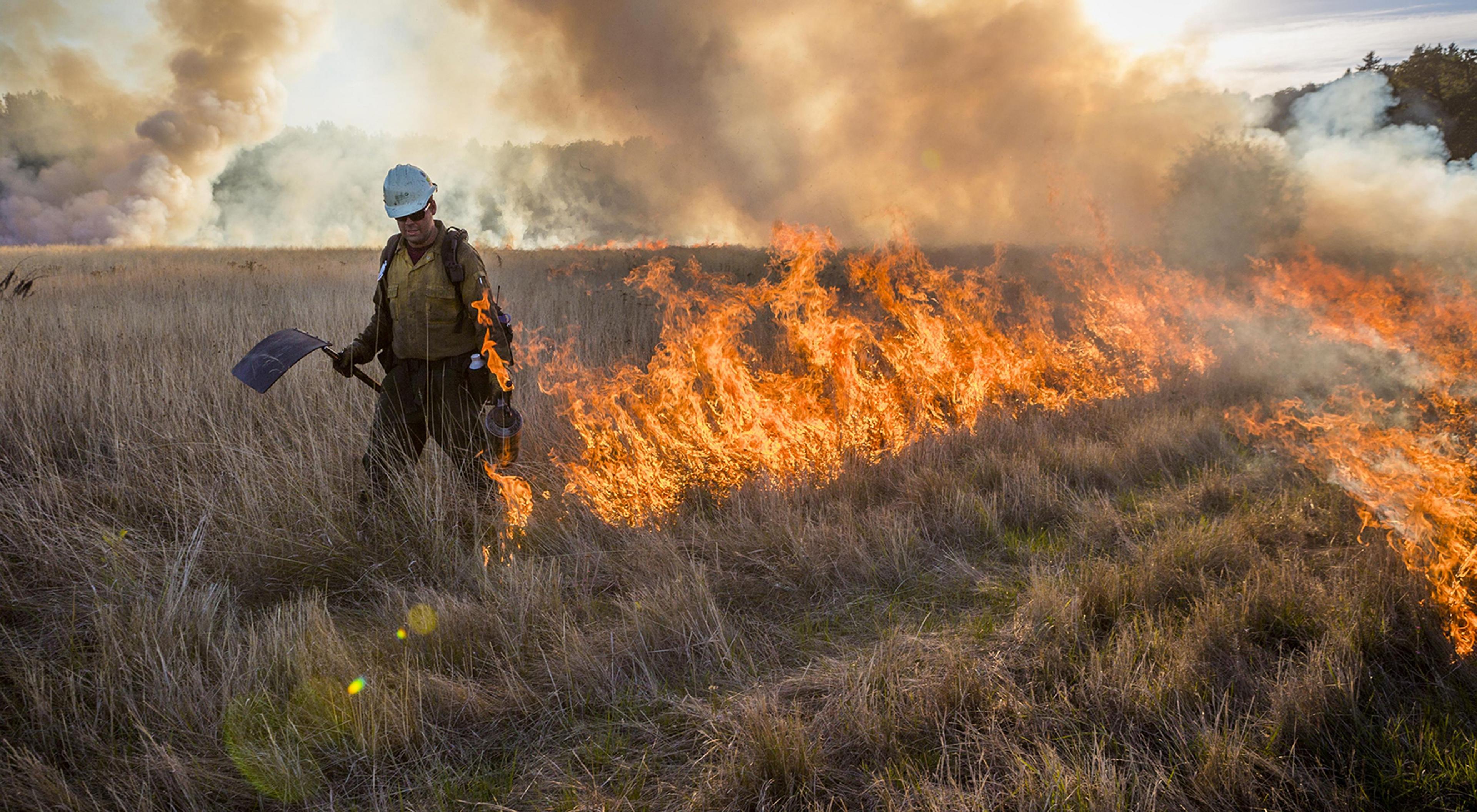 Wildfire devastation in Hawaii claims 101 lives