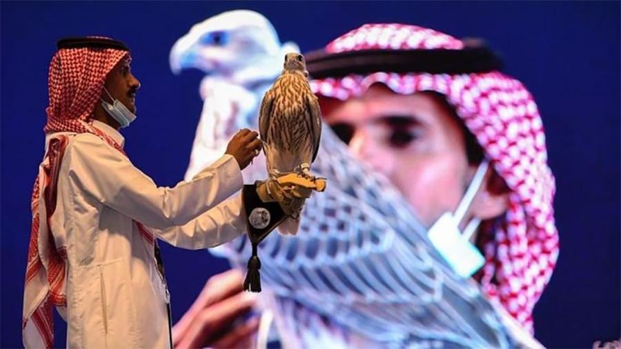 سعودی عرب، نیلامی میں دو رنگوں والا شہبازچھ لاکھ 10 ہزار ریال میں فروخت