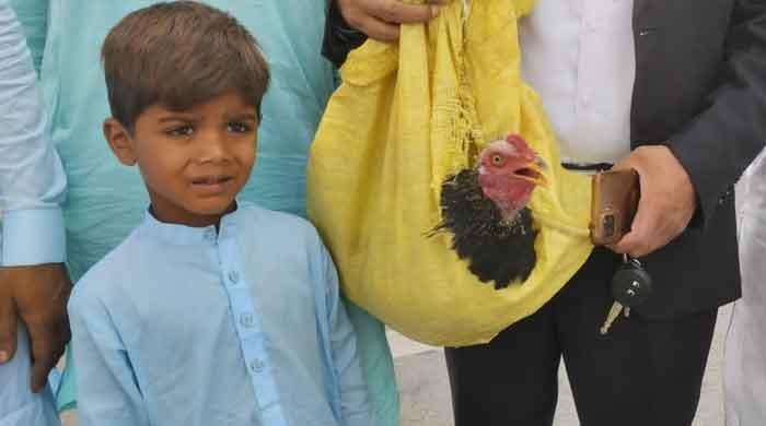 جلاؤگھیراؤکیس میں گرفتارہونے والے ملزم کے بیٹے نے وکیل کو فیس کی مدمیں اپنا مرغا ہی دے ڈالا