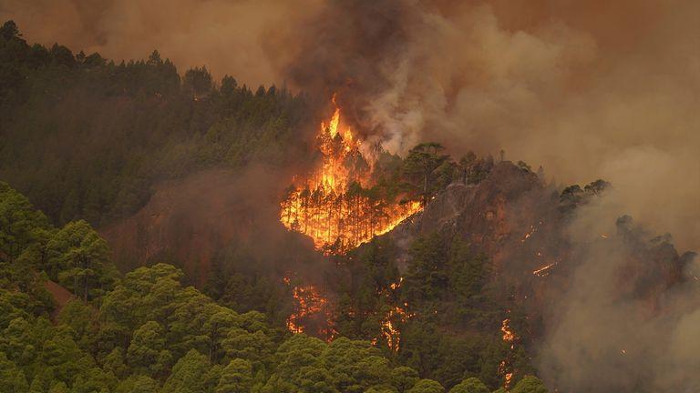 Tenerife fires: Thousands evacuated on Spanish island