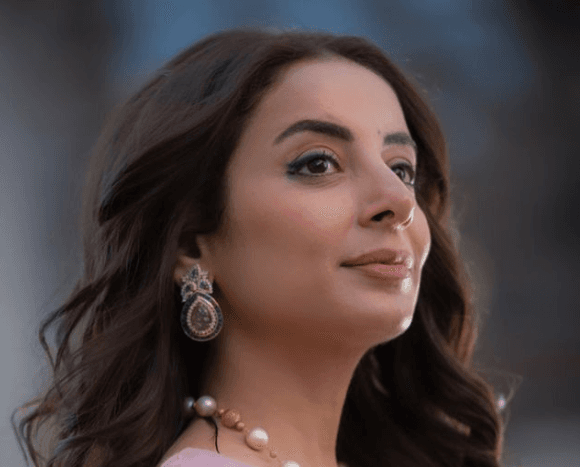 Sarwat Gillani hints at possibility of establishing her own political party