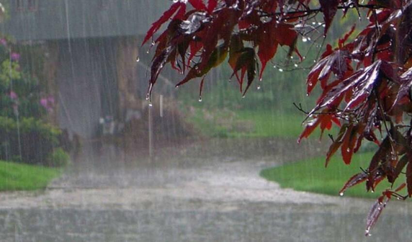 Met dept predicts heavy rains