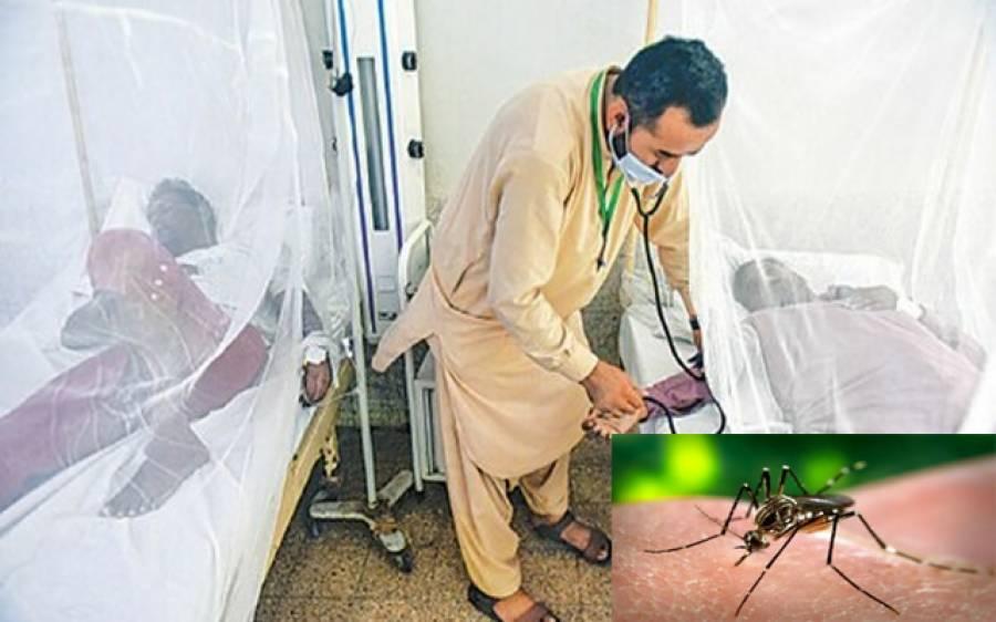 ڈینگی وائرس  کے باعث لاہور میں پہلی ہلاکت