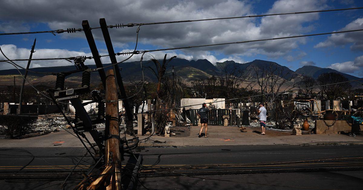 Maui County says Hawaiian Electric caused deadly blazes in new lawsuit