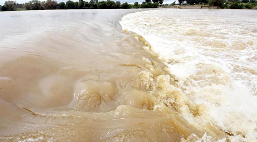 دریائے ستلج میں درمیانے درجے کا سیلاب ہے، ترجمان پی ڈی ایم اے