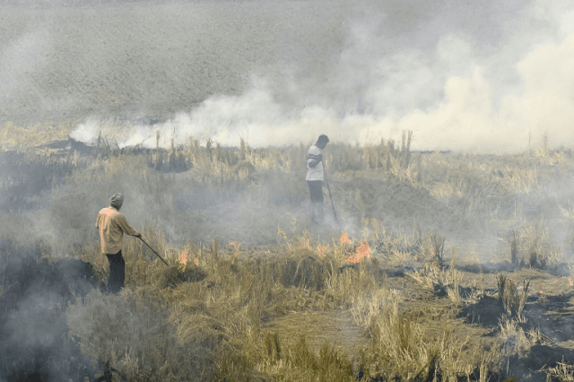 Section 144 imposed in Lahore on burning stubble