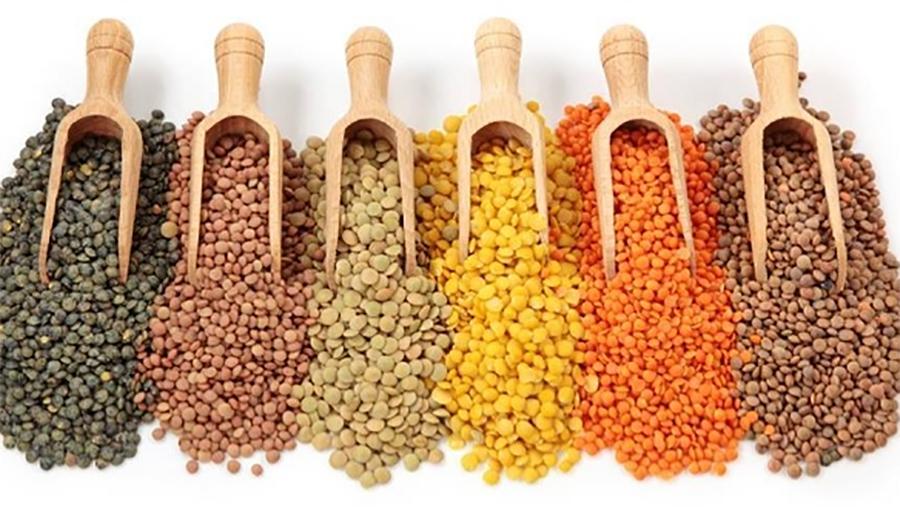 دالوں کی درآمدات میں گزشتہ مالی سال کے دوران سالانہ بنیادوں پراضافہ ریکارڈ