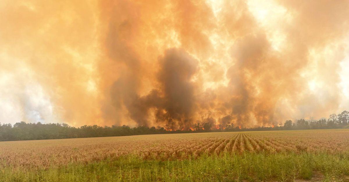 How Louisiana — one of the nation’s wettest states — caught on fire