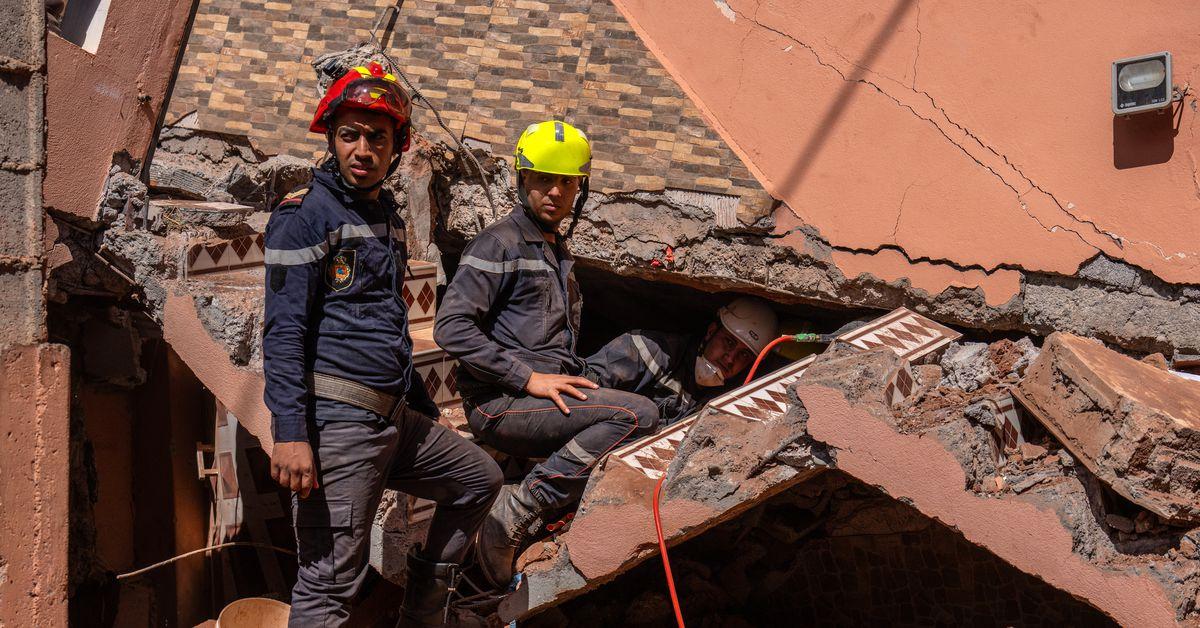 How rescuers find survivors after deadly earthquakes