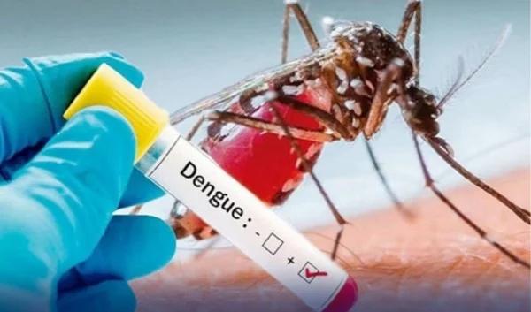 75 dengue cases reported in 24 hours in Punjab