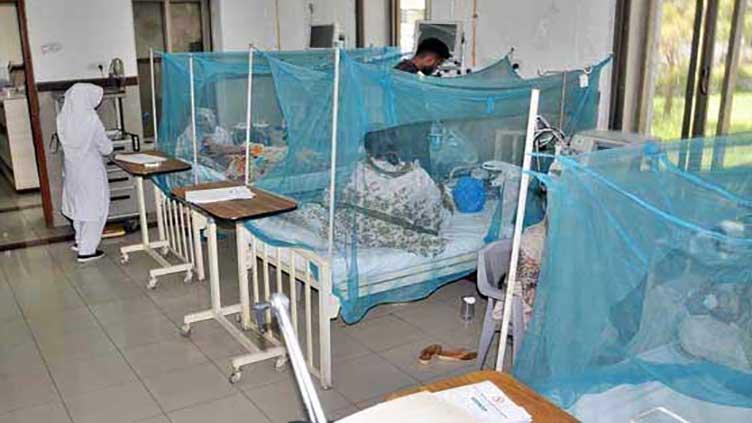 Nearly 600 malaria cases reported in 24 hours in Sindh