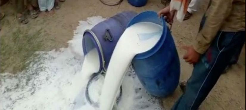 PFA disposes off 3,500 liters adulterated milk