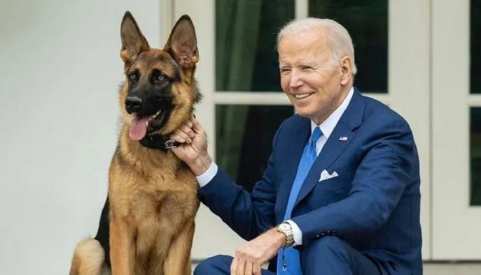 Joe Biden's dog bites secret service agent