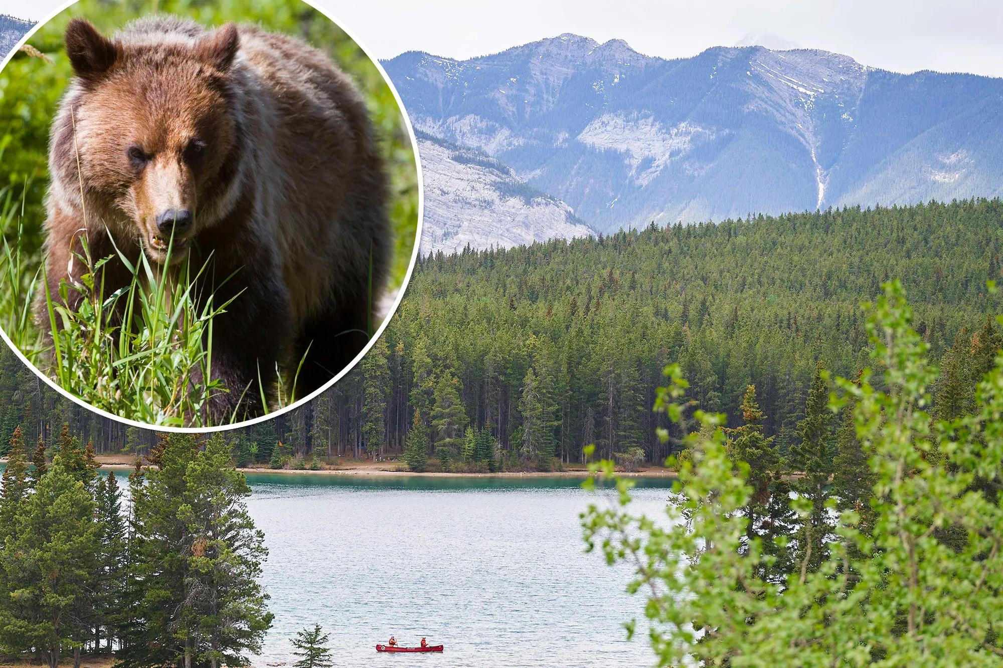 Couple killed in grizzly bear attack in Canada's Banff National Park