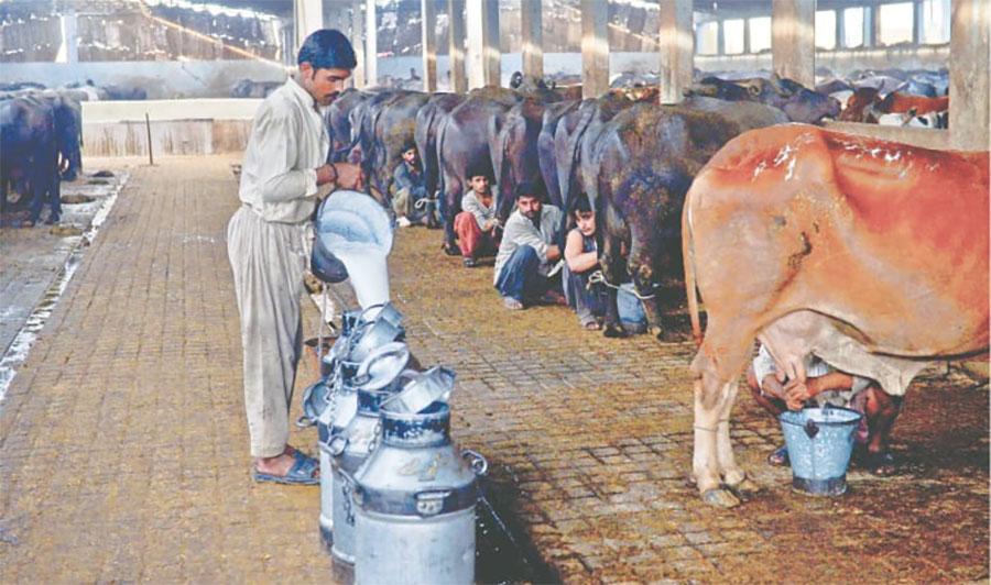 کراچی میں دودھ کی فی لٹر قیمت میں 20روپےکا بڑا اضافہ