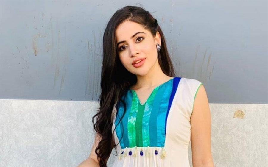 عرفی جاوید کی مبینہ منگنی کی تصاویر وائرل