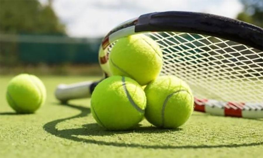 ڈیوڈ گوفن اور ہیوگو گیسٹن کا یورپین اوپن ٹینس مینز سنگلز کا فاتحانہ آغاز