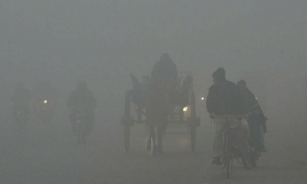 LHC orders smog emergency in city