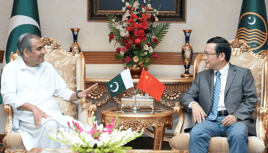 Chinese consul general calls on Punjab CM Naqvi