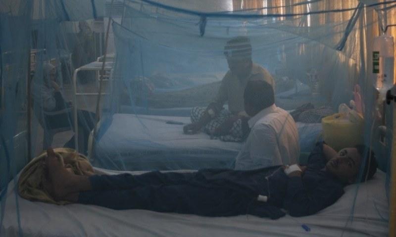 181 more dengue patients in Punjab