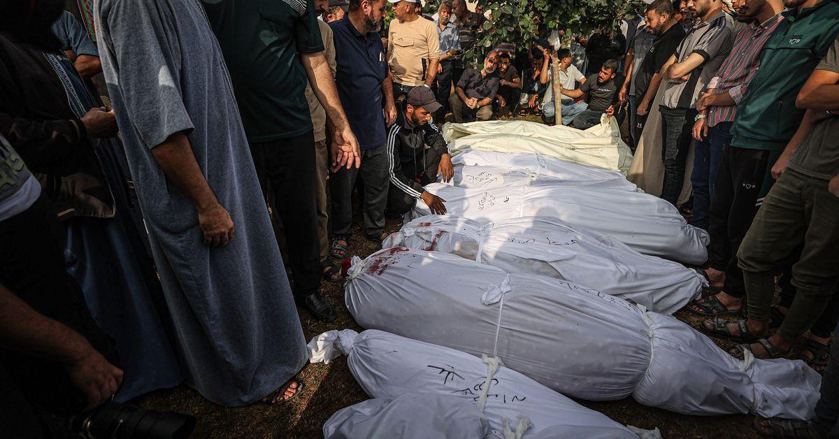 The death toll from Gaza, explained