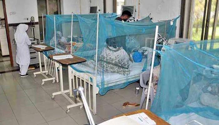 169 more dengue patients reported in Punjab