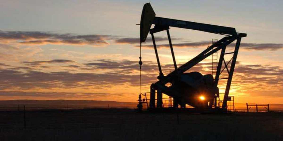 Caretaker govt to increase strategic reserves of petroleum