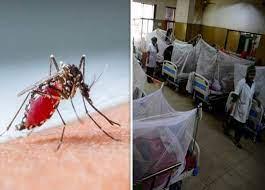 ڈینگی کے وار برقرار،  211  مریضوں میں  وائرس کی تصدیق