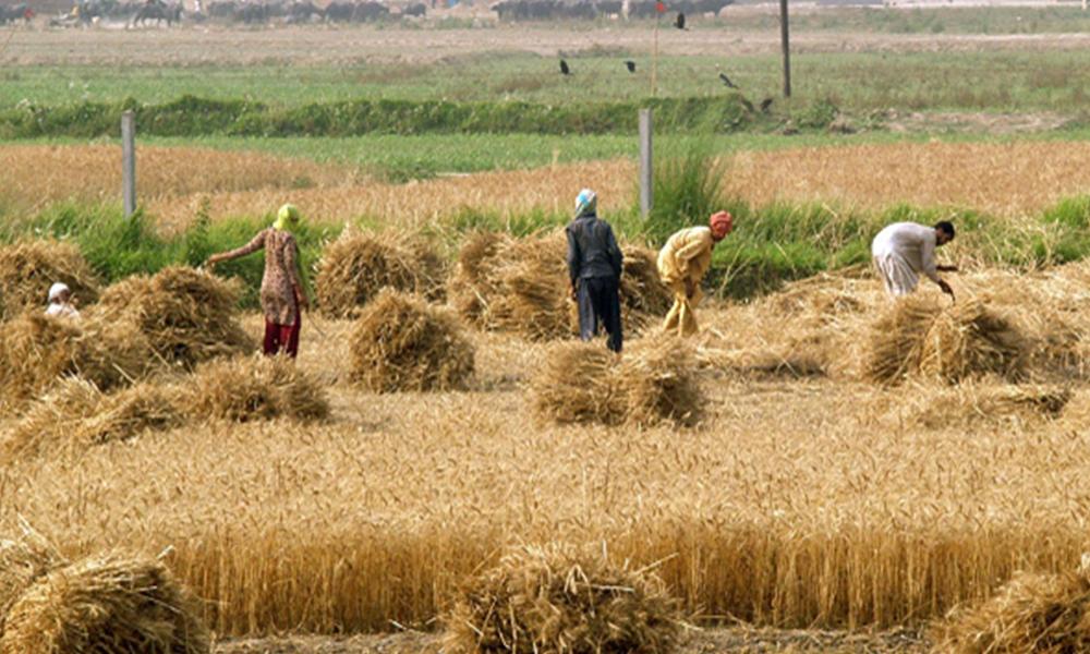 Punjab to establish nine model agricultural centers