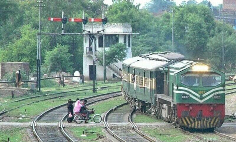 Over 50 sheep, cow died after being hit by train