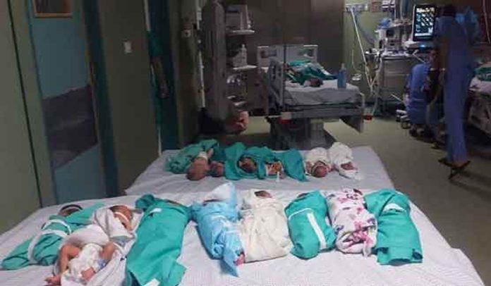 الشفاء ہسپتال میں پیدا ہونے والے تمام 41 بچوں کو نکال لیا گیا ہے