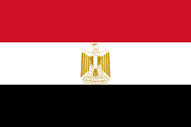 فلسطینیوں کی غزہ سے جبری بے دخلی  پرفیصلہ کن ردعمل ہوگا، مصر