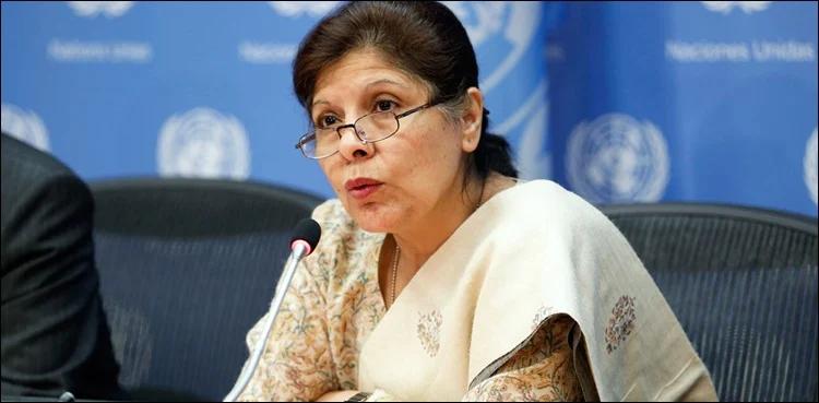 حکومت قرضوں سے  چھٹکارے کیلئے اقدامات کر رہی ہے ،نگران وزیر خزانہ