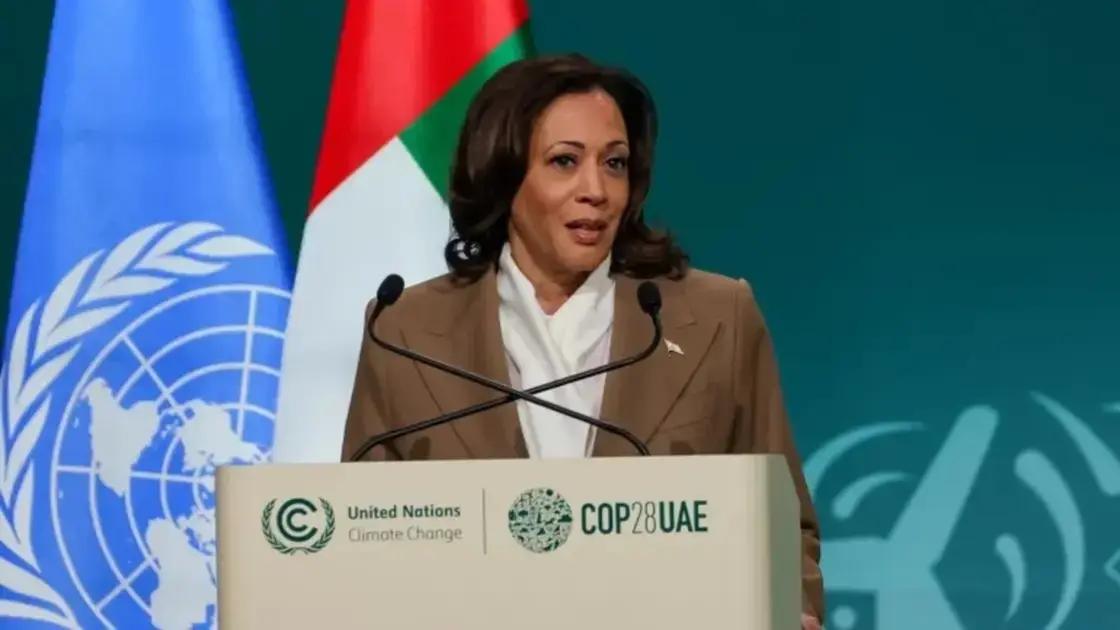 اسرائیل  فلسطینیوں کے تحفظ کے لیے مزید کوششیں کرے، امریکی نائب صدر