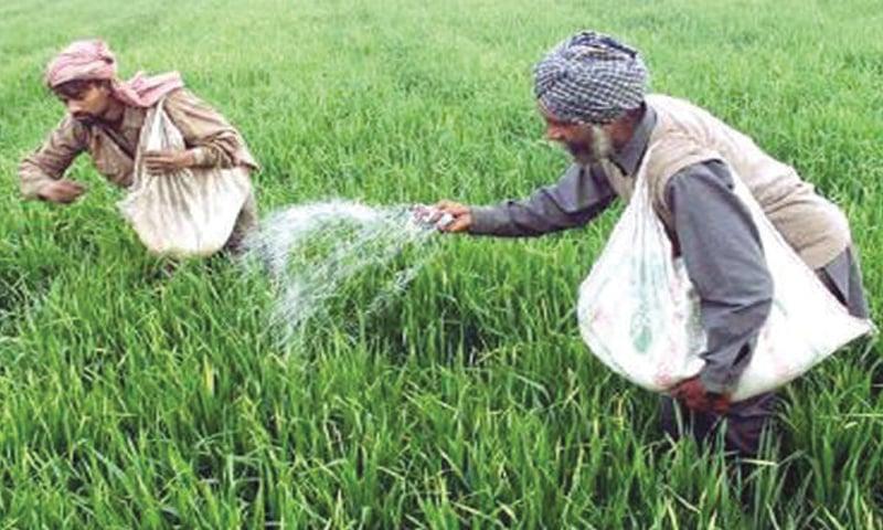 PM issues directive for seamless urea fertilizer supply to farmers