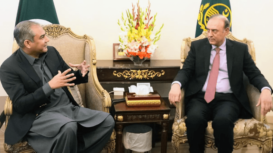 SBP Governor calls on Punjab CM Naqvi