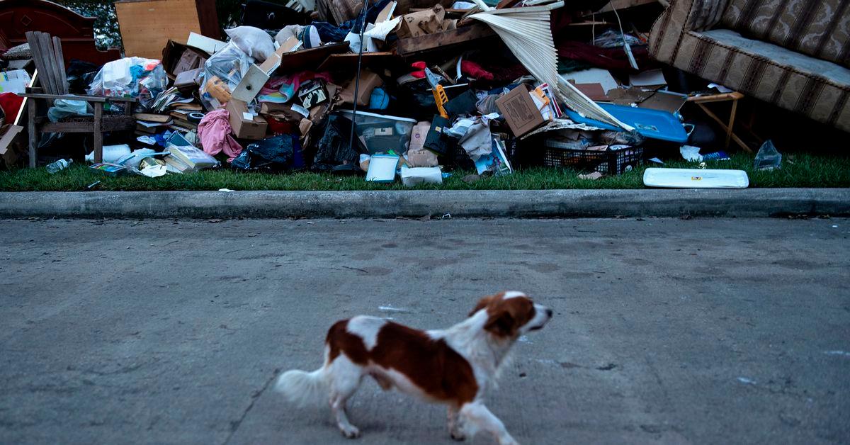 Look closely, and you’ll find America’s ‘climate abandonment areas’