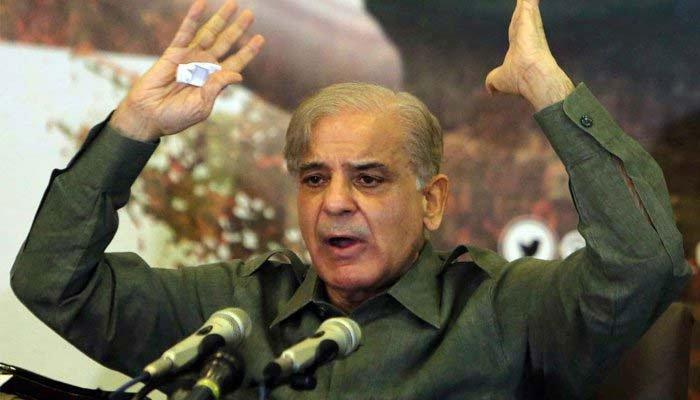 Shehbaz Sharif terms dollar upsurge against rupee a sign of 'economic disaster'