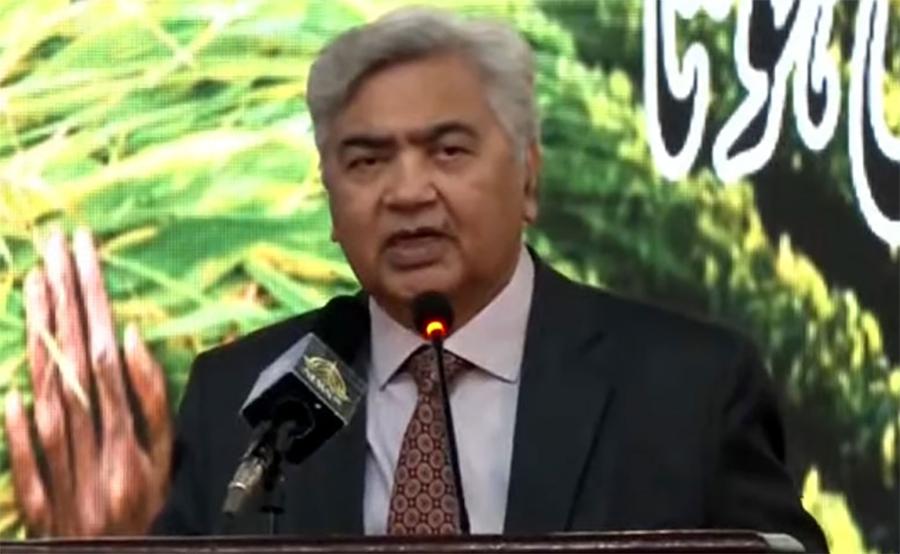 پاکستان مستقبل قریب میں گندم،چاول برآمد کرنے کی صلاحیت رکھتا ہے، وزیر خوراک