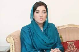 پی ٹی آئی کی رہنما ایمان طاہر کو پشاور ہائی کورٹ کے باہر سے گرفتار