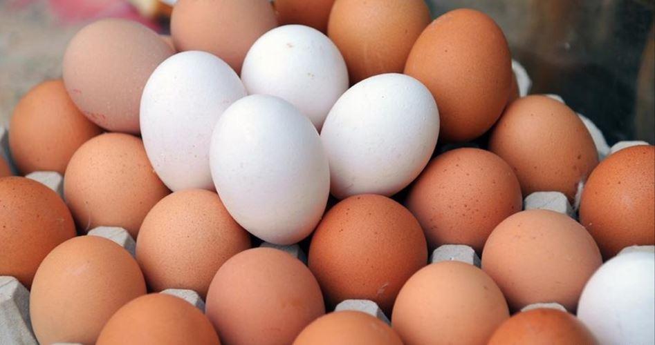 انڈو ں کی قیمتیں آسمانوں سے باتیں کر نے لگیں