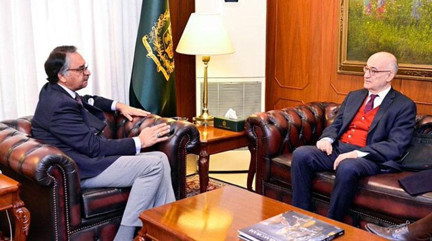 وزیر خارجہ جلیل عباس جیلانی کی  کروشیا کے سفیر سے ملاقات