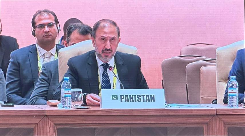 Pakistan committed to overcome global challenges through effective int’l collaboration: Haider