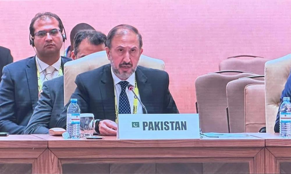 بین الاقوامی تعاون کے ذریعے ہی عالمی چیلنجز سے نمٹا جا سکتا ہے ،پاکستان