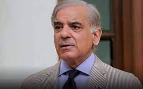 شہبازشریف کے پوسٹر پھاڑنے والے ملزم کیخلاف مقدمہ درج